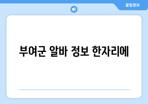 부여군 알바 정보 한자리에