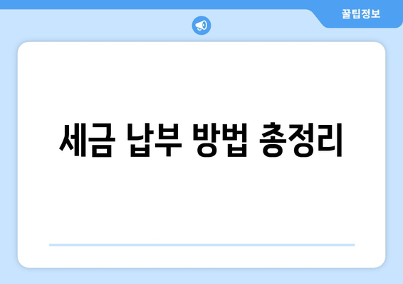 세금 납부 방법 총정리