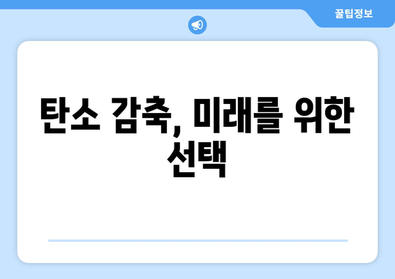 탄소 감축, 미래를 위한 선택