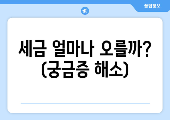 세금 얼마나 오를까? (궁금증 해소)