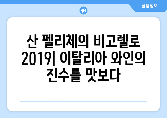 비고렐로 2019 | 산 펠리체의 맛있는 산출물 - 와인의 풍미를 탐험하다 | 이탈리아 와인, 와인 테이스팅, 비고렐로