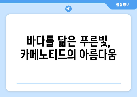 제주 애월 감성 카페, 카페노티드에서 힐링하세요 | 제주 애월 카페, 감성 카페, 분위기 좋은 카페, 카페 추천