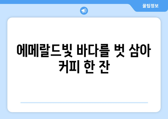 이호테우해수욕장 옆, 편안한 휴식을 위한 카페 추천 | 제주도 여행, 해변 카페, 커피 맛집