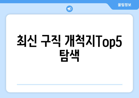 최신 구직 개척지Top5 탐색