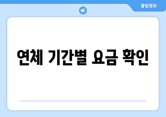 연체 기간별 요금 확인