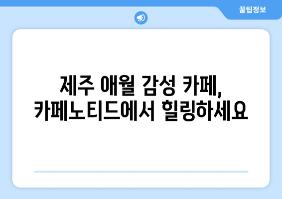 제주 애월 감성 카페, 카페노티드에서 힐링하세요 | 제주 애월 카페, 감성 카페, 분위기 좋은 카페, 카페 추천