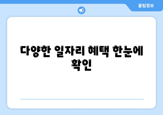 다양한 일자리 혜택 한눈에 확인