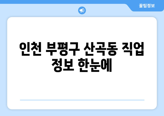 인천 부평구 산곡동 직업 정보 한눈에