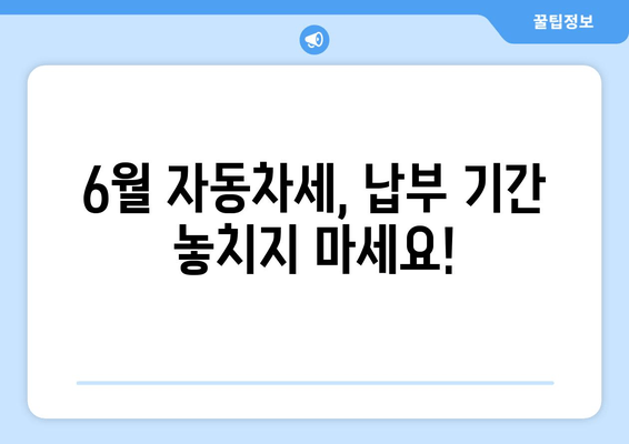 6월 자동차세, 납부 기간 놓치지 마세요!