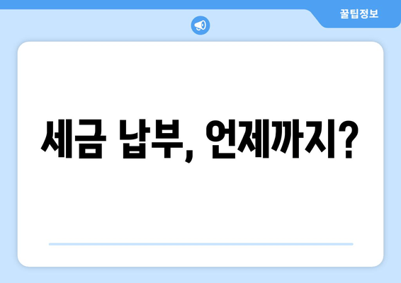 세금 납부, 언제까지?