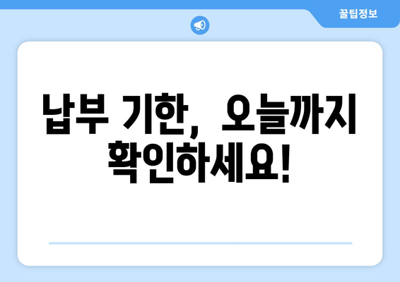 납부 기한,  오늘까지 확인하세요!