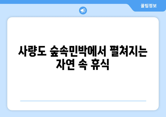 통영 사량도 숲속민박| 힐링과 낚시를 위한 완벽한 선택 | 사량도 배편, 연락처, 홈페이지, 인스타그램