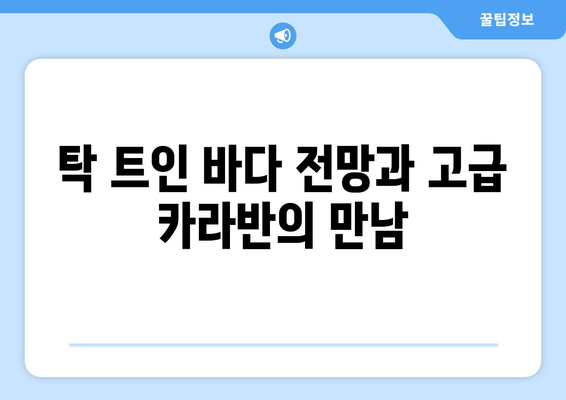 강원도 삼척 근교 캠핑의 끝판왕! 타요캠핑장| 바다 전망 & 고급 카라반 | 삼척 캠핑장 추천, 예약, 시설 정보, 전기, 연락처