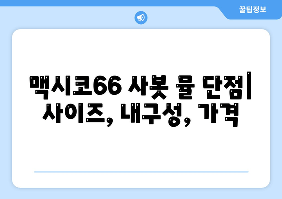 오니츠카타이거 맥시코66 사봇 뮬 솔직 후기| 장점, 단점, 그리고 착용감까지! | 편안함과 스타일, 당신의 선택은?