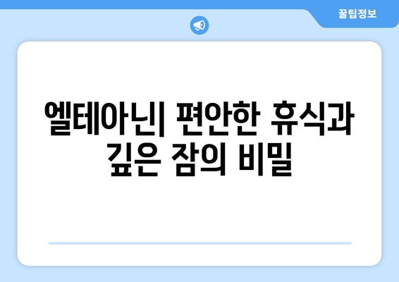 숙면을 위한 엘테아닌의 놀라운 효과| 깊은 잠, 편안한 휴식을 위한 솔루션 |  엘테아닌, 수면 개선, 스트레스 해소, 건강 정보