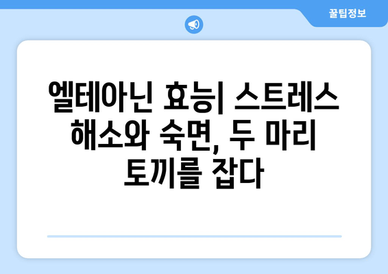 엘테아닌이 수면에 미치는 영향| 숙면을 위한 엘테아닌 & 부작용 완벽 가이드 | 엘테아닌 효능, 테아닌 부작용, 수면 개선, 엘테아닌 복용법