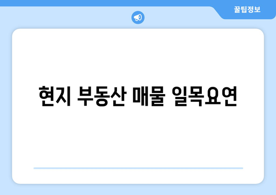 현지 부동산 매물 일목요연