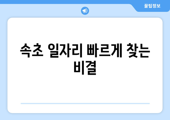 속초 일자리 빠르게 찾는 비결