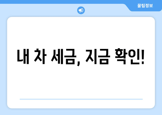 내 차 세금, 지금 확인!