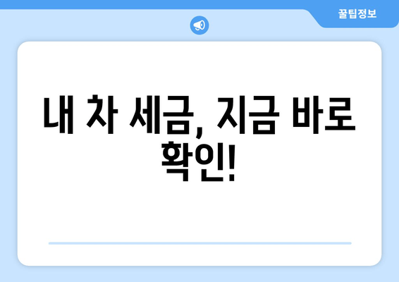 내 차 세금, 지금 바로 확인!