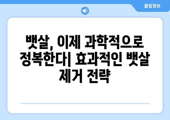 뱃살 제거, 이제 꿀팁으로 확실하게! 몸매 관리 꿀팁| 뱃살 제거 방법 | 뱃살, 복부비만, 다이어트, 운동, 식단