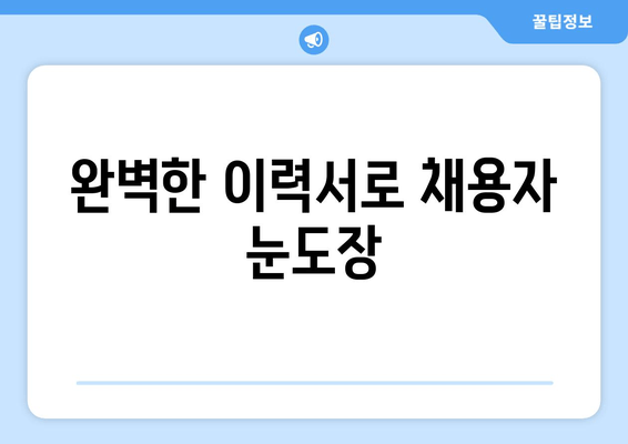 완벽한 이력서로 채용자 눈도장