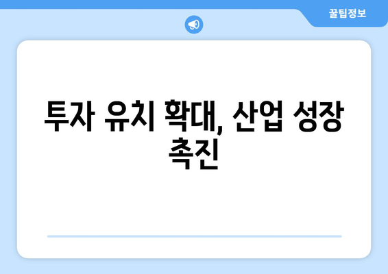 투자 유치 확대, 산업 성장 촉진