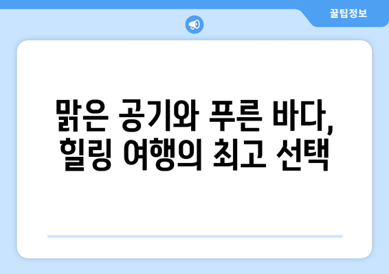 통영 사량도 숲속민박| 힐링과 낚시를 위한 완벽한 선택 | 사량도 배편, 연락처, 홈페이지, 인스타그램