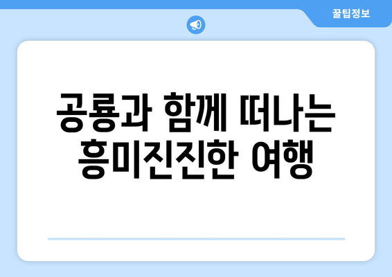 2024 해남 어린이 공룡대축제 완벽 가이드| 주차, 숙소, 맛집 정보 총정리 | 공룡, 어린이날, 가족 여행, 축제 정보