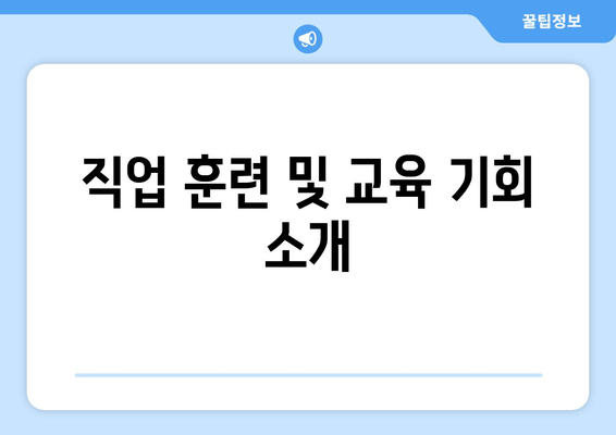 직업 훈련 및 교육 기회 소개