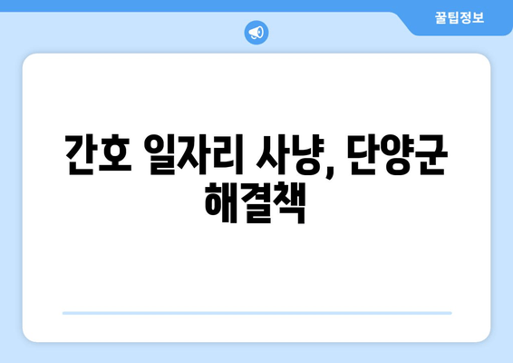 간호 일자리 사냥, 단양군 해결책