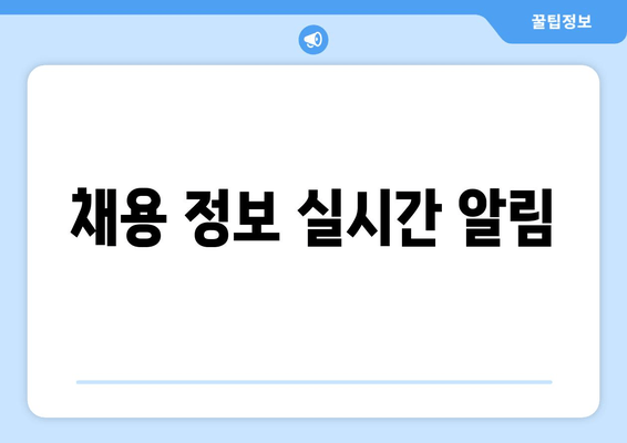 채용 정보 실시간 알림