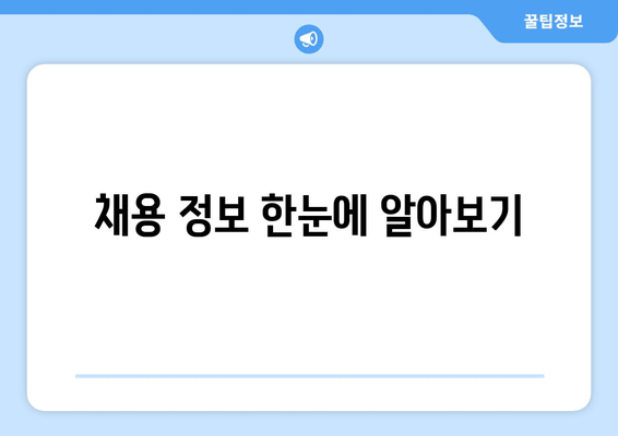 채용 정보 한눈에 알아보기