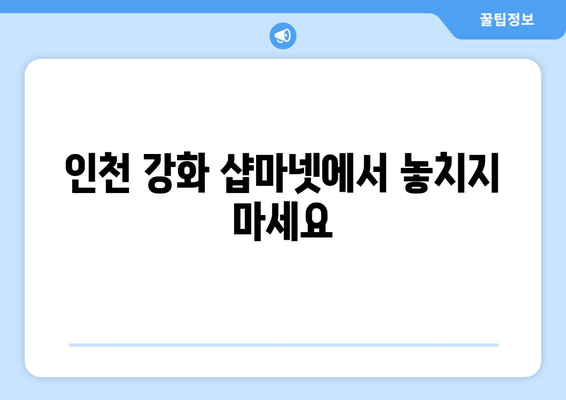 인천 강화 샵마넷에서 놓치지 마세요