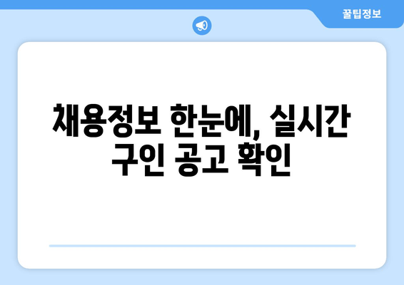 채용정보 한눈에, 실시간 구인 공고 확인