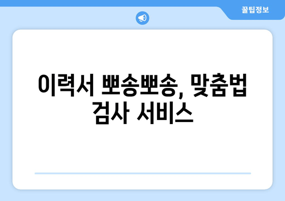 이력서 뽀송뽀송, 맞춤법 검사 서비스