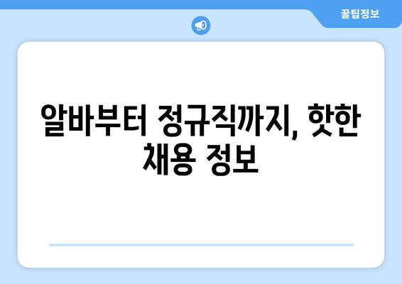 알바부터 정규직까지, 핫한 채용 정보