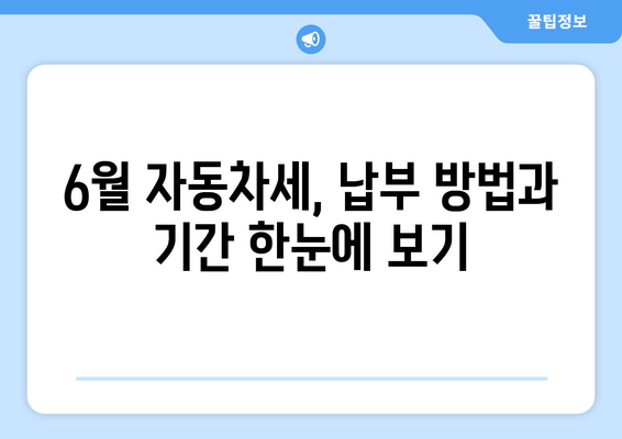 6월 자동차세, 납부 방법과 기간 한눈에 보기