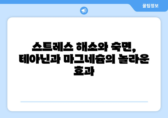 숙면을 위한 특급 조합! 테아닌과 마그네슘의 시너지 효과 | 수면 개선, 스트레스 완화, 건강 정보