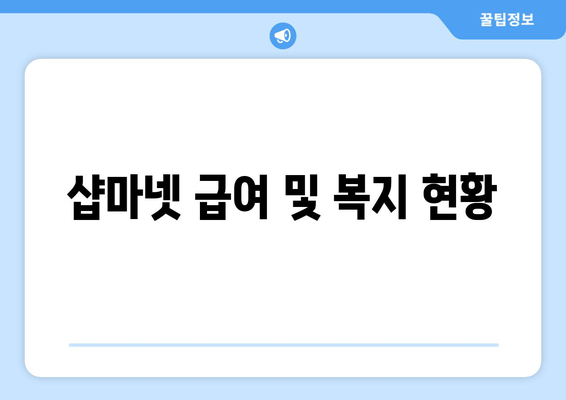 샵마넷 급여 및 복지 현황