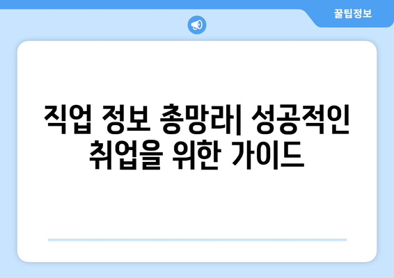 직업 정보 총망라| 성공적인 취업을 위한 가이드