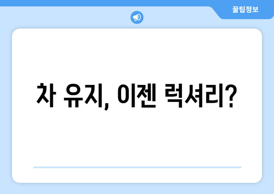 차 유지, 이젠 럭셔리?