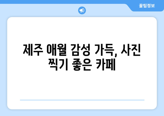 제주 애월 감성 카페, 카페노티드에서 힐링하세요 | 제주 애월 카페, 감성 카페, 분위기 좋은 카페, 카페 추천