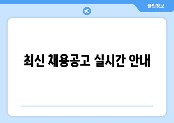 최신 채용공고 실시간 안내