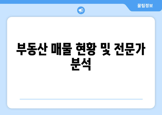 부동산 매물 현황 및 전문가 분석
