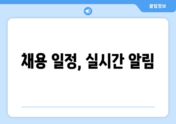 채용 일정, 실시간 알림
