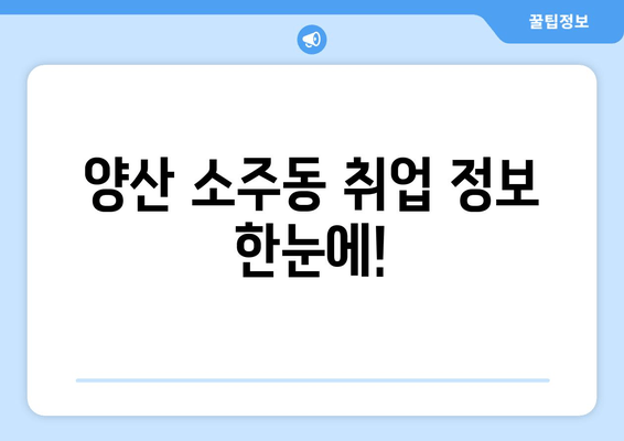 양산 소주동 취업 정보 한눈에!