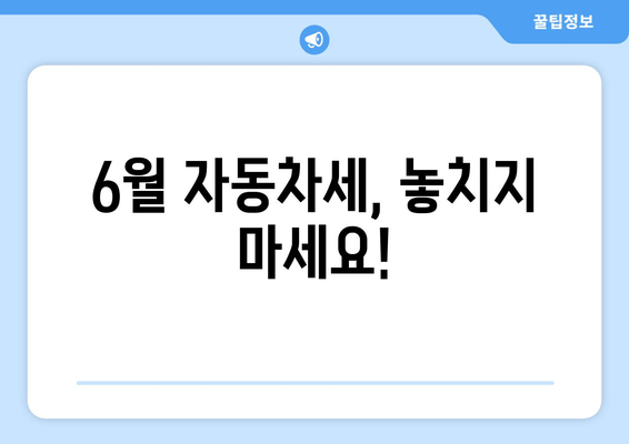 6월 자동차세, 놓치지 마세요!