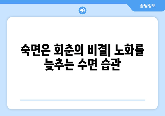 수면과 노화의 상호 작용| 노화를 늦추는 데 활용하는 방법 | 수면, 노화, 건강, 팁, 가이드