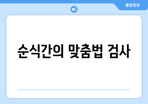 순식간의 맞춤법 검사